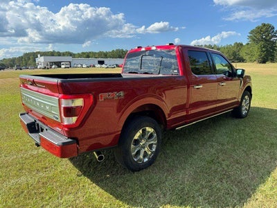 2023 Ford F-150 Platinum